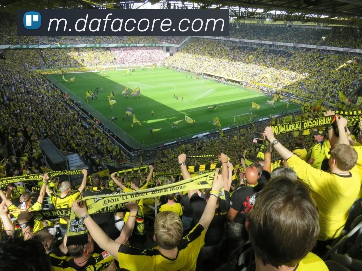 大发娱乐APP 封面图